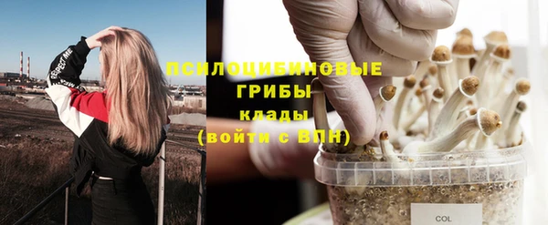 ALPHA PVP Баксан